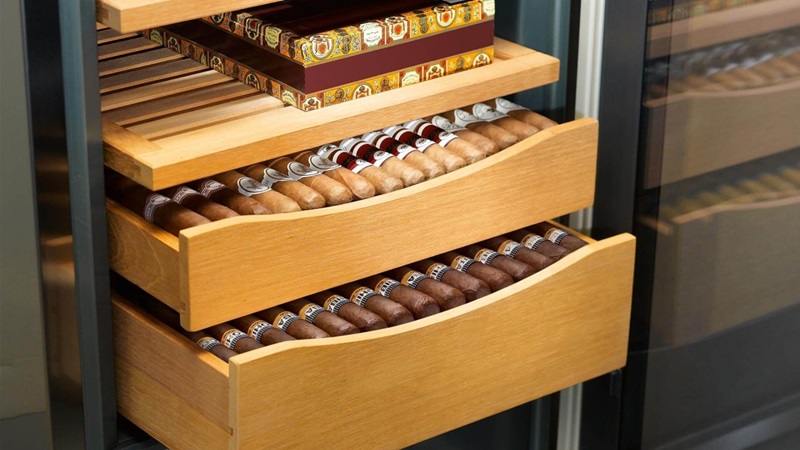 Cigar Humidors for Collectors: Premium and Exclusive Models