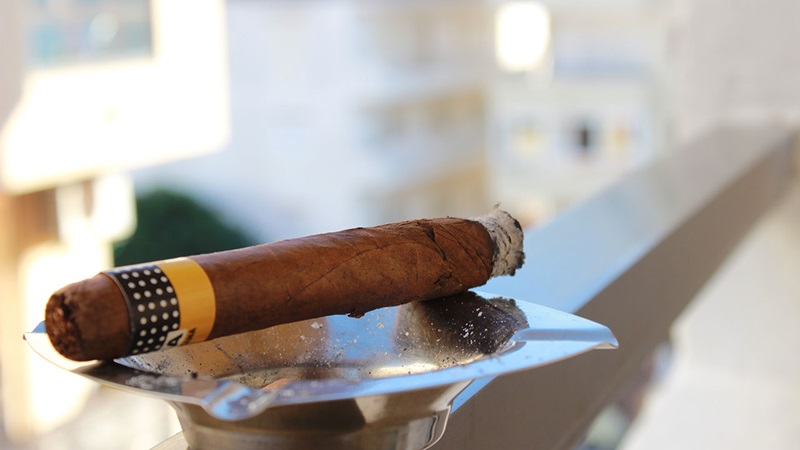 The Flavor Profile of American Cigars: What Makes Them Special?